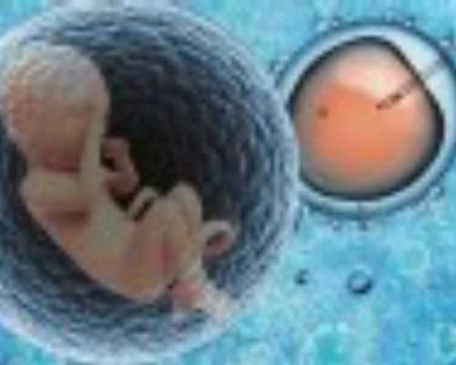 国内代怀孩子价格,试管婴儿费用主要*括不同治疗方法