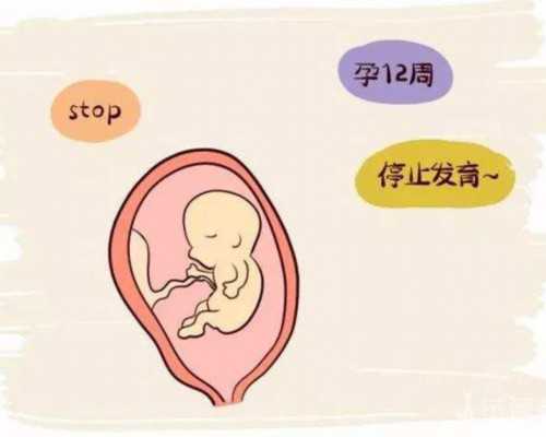 国内供卵生殖中心网站地址,丽水人民医院试管婴儿多少钱2026费用清单实例参考
